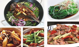 深圳市巴蜀風(fēng)飲食管理圖冊 餐飲管理的藝術(shù)與科學(xué)